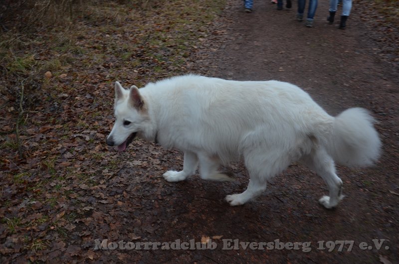 Wandertag 2019 - 030